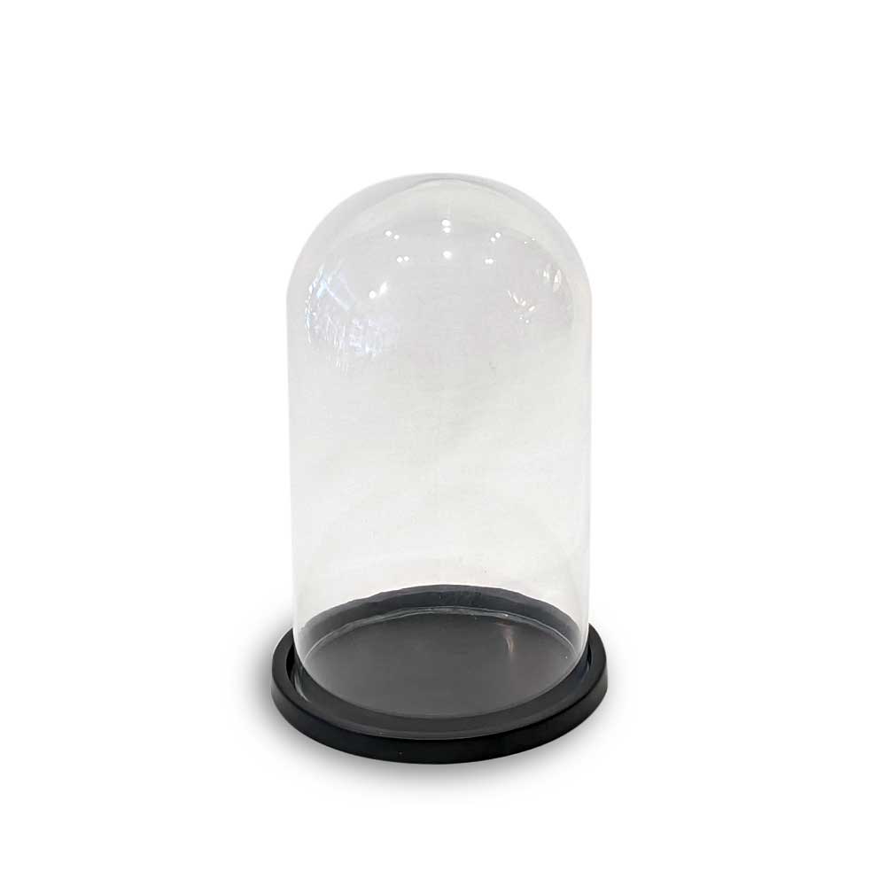 Embellish glass dome - small